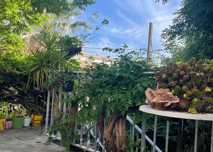 Apartamento Les Jardins De Veronique Marie Mèze